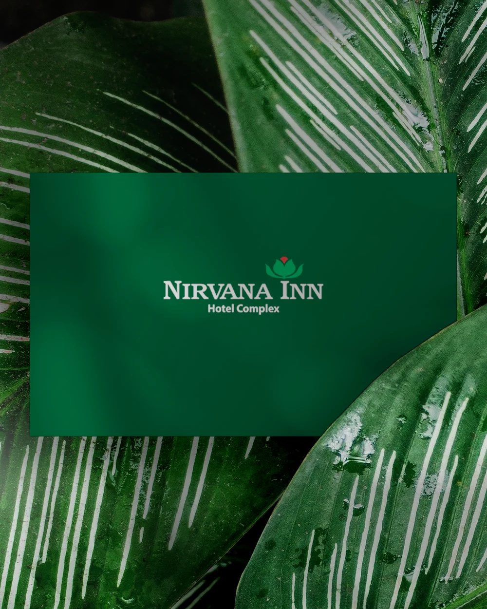 Nirvana Inn business card mockup on leaves